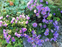 DSCF2957 (2).webp