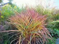 DSCF2958 (2).webp