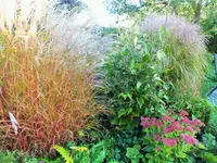 DSCF2960 (2).webp