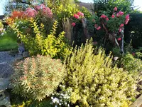 DSCF2970 (2).webp