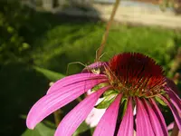 29_09_2019_1 (14).webp