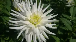DSC_1100 (2).webp