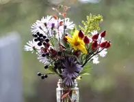 image001.webp