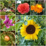 20190922_012145.webp
