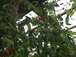 IMG_3424.JPG