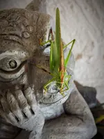 DSCF2993 (3).webp