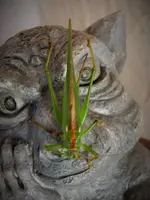 DSCF2994 (2).webp