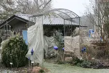 Winterschutz0219.webp