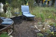 DSC08367.JPG