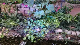 DSC_0118 (2).webp