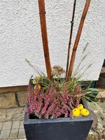 image001.webp