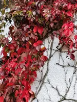 image002.webp