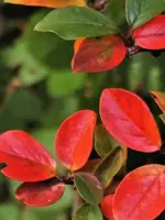 image003.webp