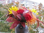 IMG_6870.JPG
