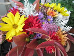 IMG_6871.JPG