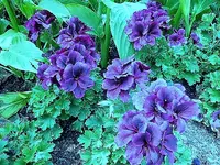 DSCI0179.webp DSCI0179.webp