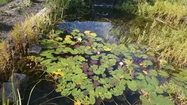 DSC_1117 (2).webp