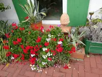 DSC00692.JPG