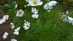 WP_20191005_14_07_40_Pro.jpg