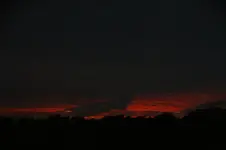 DSC08371.webp
