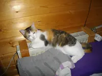 IMGP8201.webp
