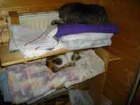 IMGP8197.webp