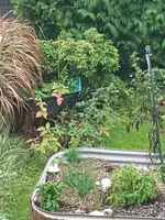 20191006_163453.webp 20191006_163453.webp