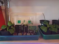 20191006_164428.webp 20191006_164428.webp