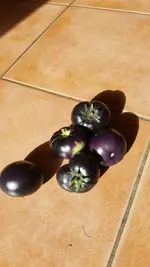 20191005_141237.webp