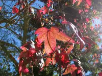 IMG_8559 v (2).webp