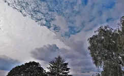 2019hmml08.webp