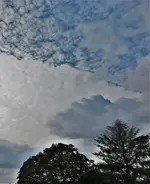 2019hmml09.webp