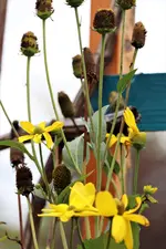 image001.webp