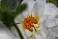 image003.jpg