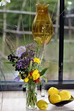 image002.webp image002.webp