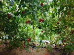 DSC00690.JPG