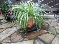 SAM_1385.webp SAM_1385.webp