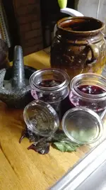 Rote Bete2 .webp