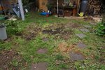 DSC08380.JPG