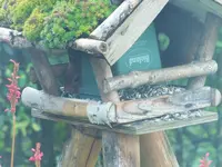 DSCF3009 (2).webp