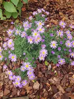 20191009_112626.webp