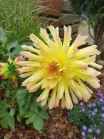 20191009_112631.webp