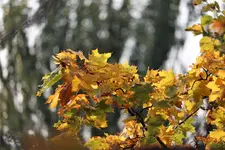 image002.webp