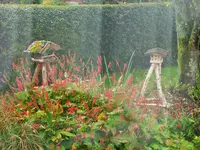 DSCF3013 (2).webp