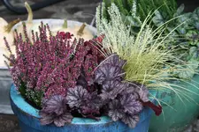 Oktober0515.webp