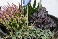 Oktober0615.webp