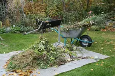 Oktober0715.JPG