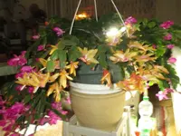 IMG_0152.webp