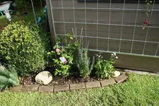 Nachher0519.JPG