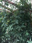 IMG_3469.JPG